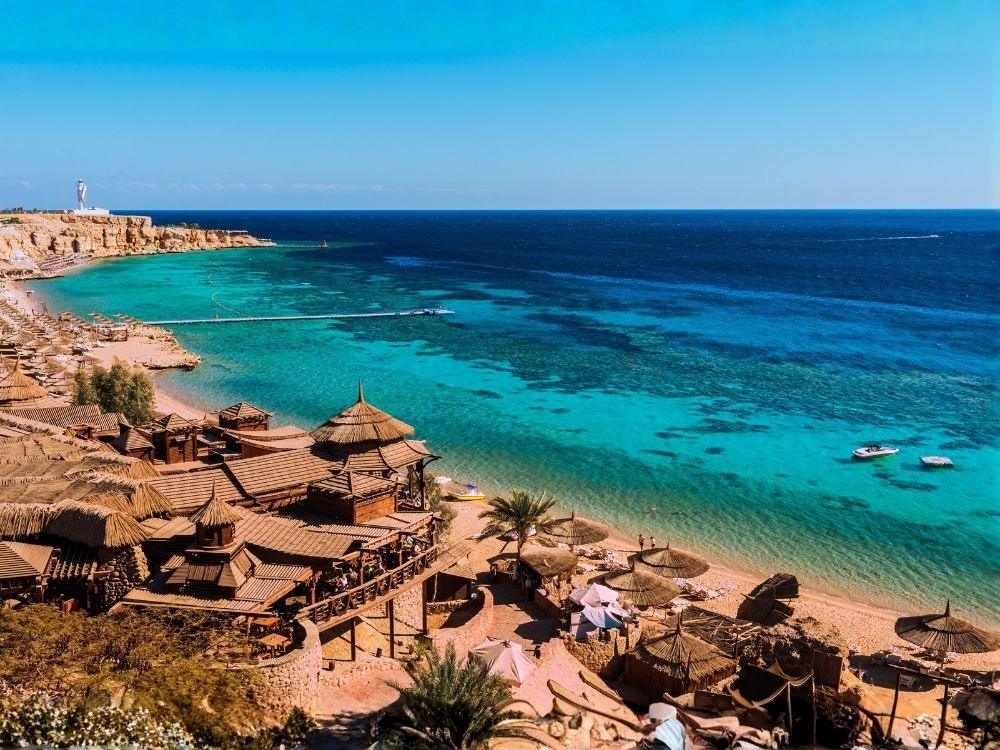 Untitled design (18)