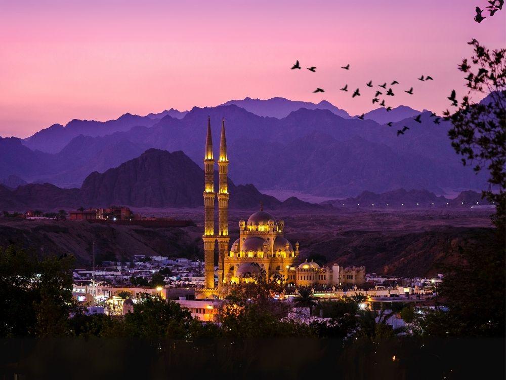 Untitled design (23)