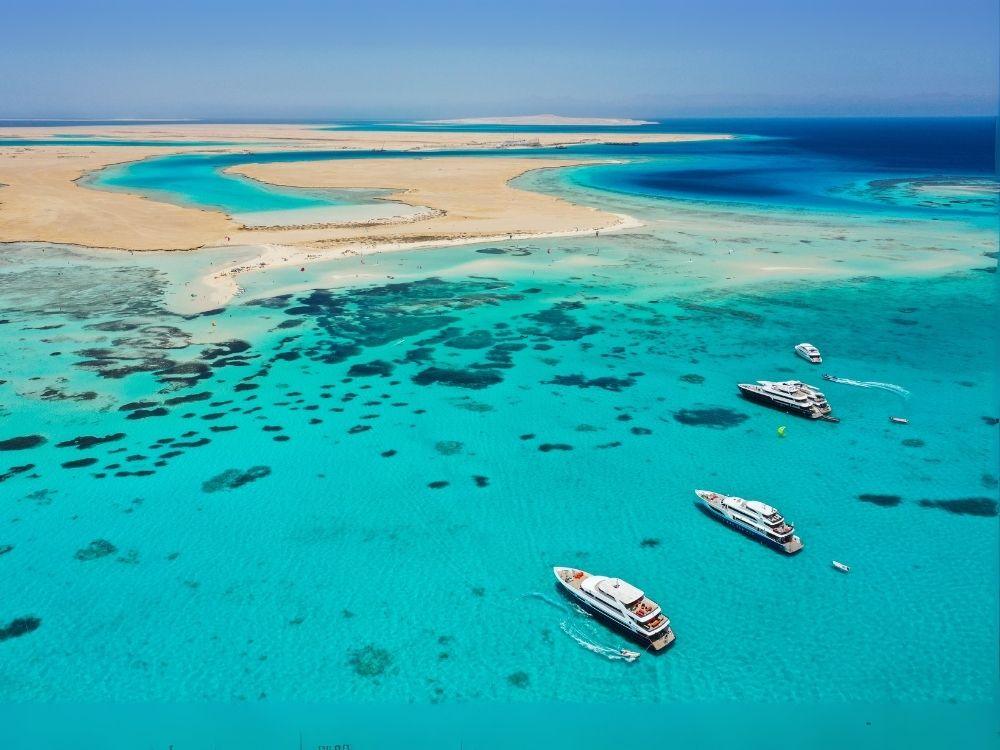 Untitled design (24)